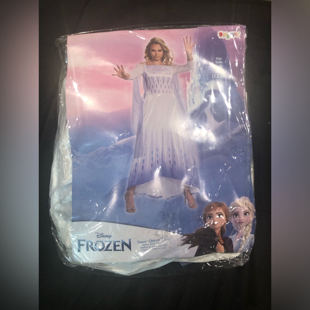 Disney Frozen Snow Queen Elsa White and Blue Costume Dress